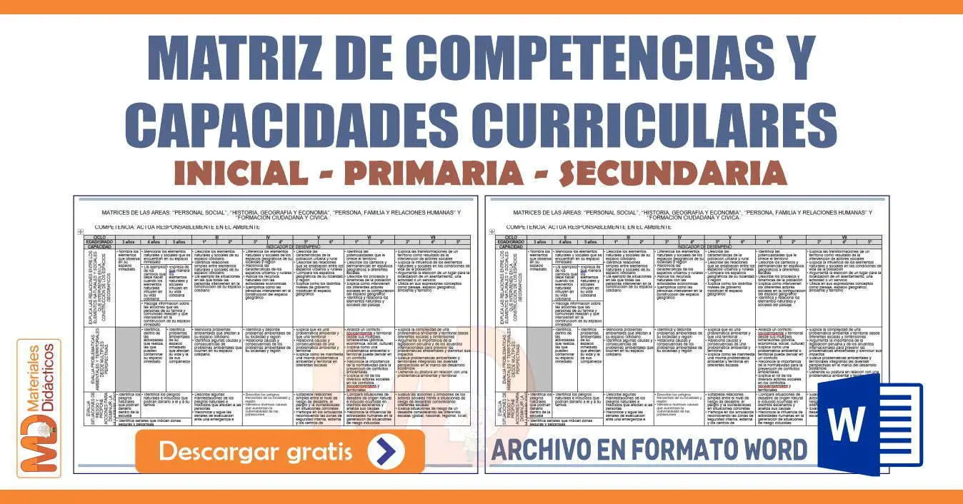 MATRIZ DE COMPETENCIAS Y CAPACIDADES CURRICULARES