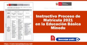 Instructivo Proceso De Matrícula 2021 En La Educación Básica -Minedu ...