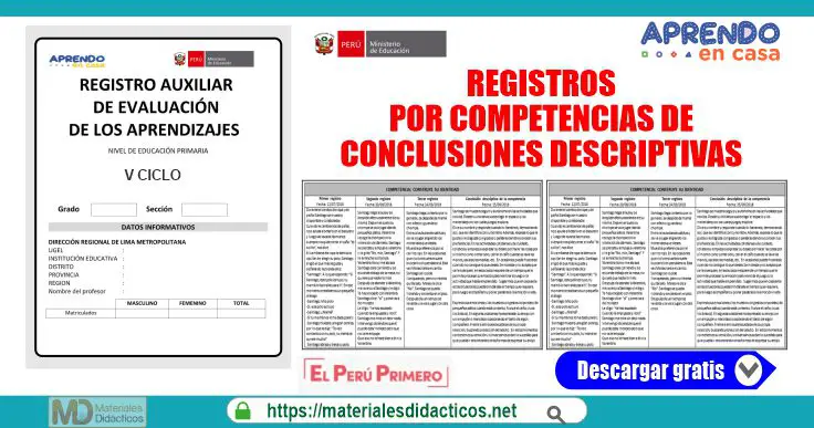 REGISTROS POR COMPETENCIAS DE CONCLUSIONES DESCRIPTIVAS MD