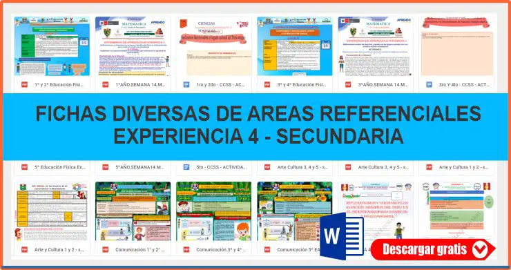 FICHAS DIVERSAS DE AREAS REFERENCIALES EXPERIENCIA 4 SECUNDARIA