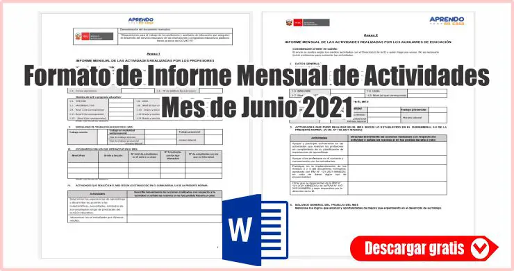 Formato de Informe Mensual de Actividades Junio 2021