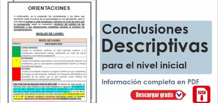 Conclusiones Descriptivas Para El Nivel Inicial