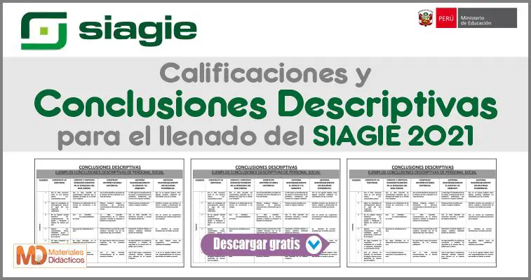 Calificaciones y Conclusiones Descriptivas para el llenado del SIAGIE 2021