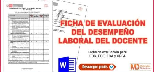 FICHA DE EVALUACIÓN DEL DESEMPEÑO LABORAL DEL DOCENTE.