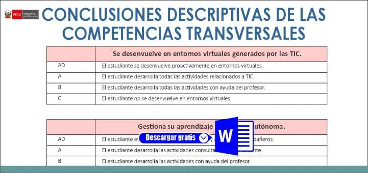 CONCLUSIONES DESCRIPTIVAS DE LAS COMPETENCIAS TRANSVERSALES