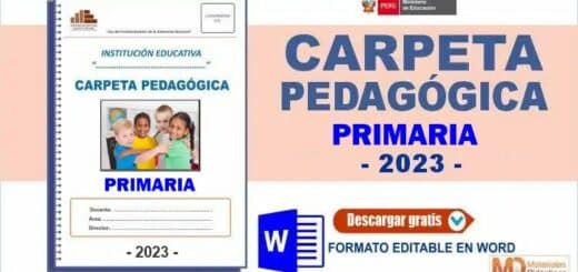 Carpeta Pedagógica Primaria 2023